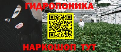 сатива Нарткала