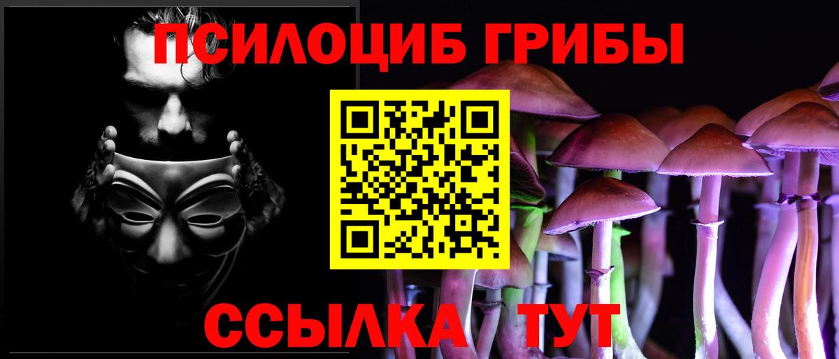 Галлюциногенные грибы мицелий Видное